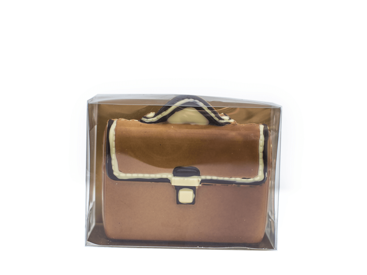 Briefcase Winston 16